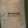 BETULA ermanii 'Blush' en Septembre