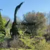 Un SEQUOIADENDRON giganteum 'Pendulum' como elemento estructural en pleno invierno