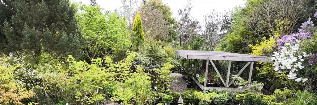 La Pépinière Vallonchêne au printemps